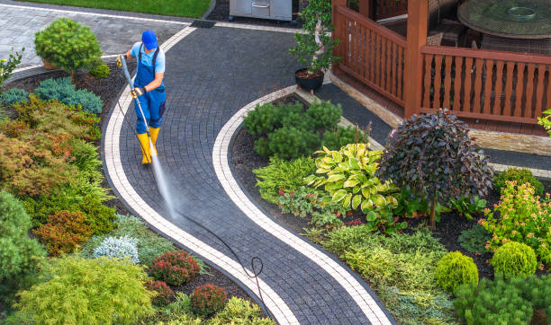Best Roof Pressure Washing  in Nashotah, WI